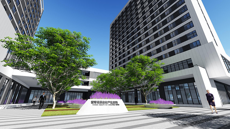 1665206820205922.jpg 315.jpg